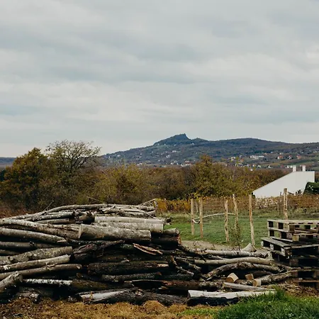 Apartmán Teged Vartalak