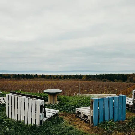 Teged Vartalak Lejlighed