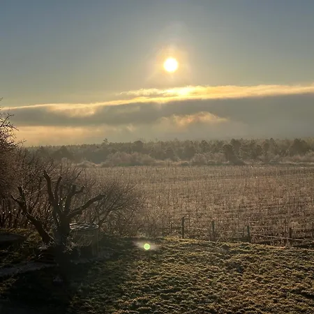 Teged Vartalak Apartmán *