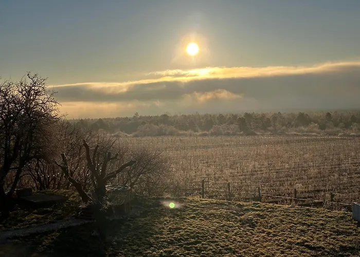 Teged Vartalak Διαμέρισμα *